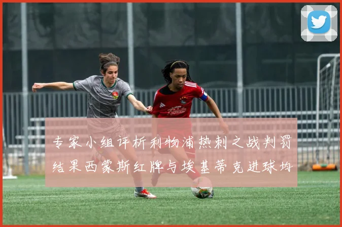专家小组评析利物浦热刺之战判罚结果西蒙斯红牌与埃基蒂克进球均属合理