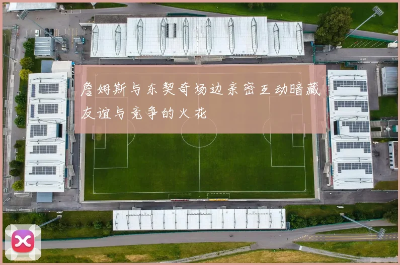 詹姆斯与东契奇场边亲密互动暗藏友谊与竞争的火花