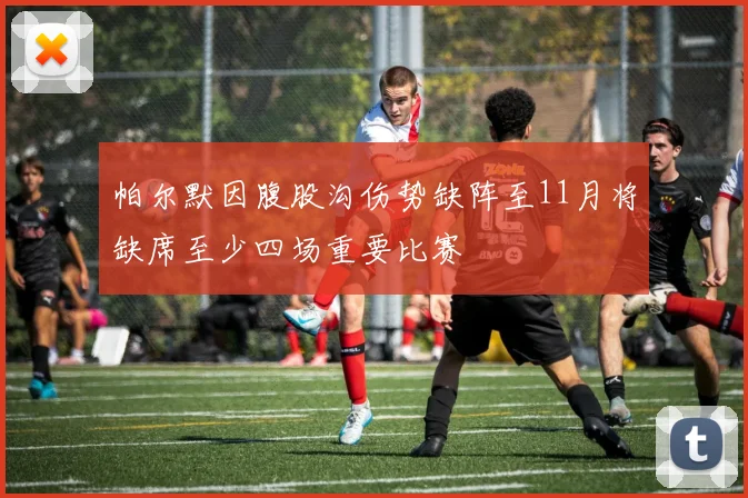 帕尔默因腹股沟伤势缺阵至11月将缺席至少四场重要比赛